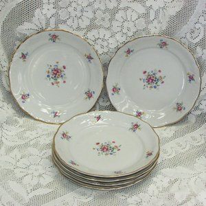 6 Pretty Porcelain Cake or Salad Plates WALBRZYCH Poland Vintage Cottagecore